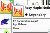 N ROSY MAPLE UYGUN