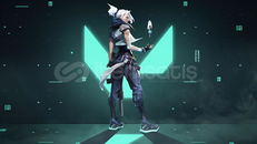 SKİNLİ SKİNSİZ HESAPLARINIZ DEĞERLENDİRİLİR