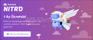 DENEME SÜRÜMÜ NİTRO | 1 AYLIK AÇIKLAMA