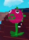 dev dragon fruit