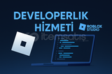 DEVELOPERLIK HIZMETLERI | UI DESIGN, SCRIPTING