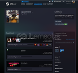 Devil May Cry Serili Kişisel Steam Hesap