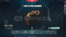 Dia 1 Hesap RGX Karambitli + Diğer skinler