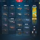 Dia 2 battle pass 3 vandal 1 guardian.