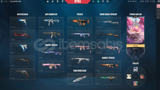 DİA FULL SKİN VLAORANT HESABI UCUZA