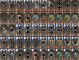 Diablo 4 Sezon 8 Unique Item 