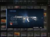 DIGNITAS KATOWiCE 2014 STiCKERLI M4A4