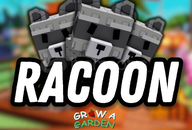 RACCOON || Grow A Garden