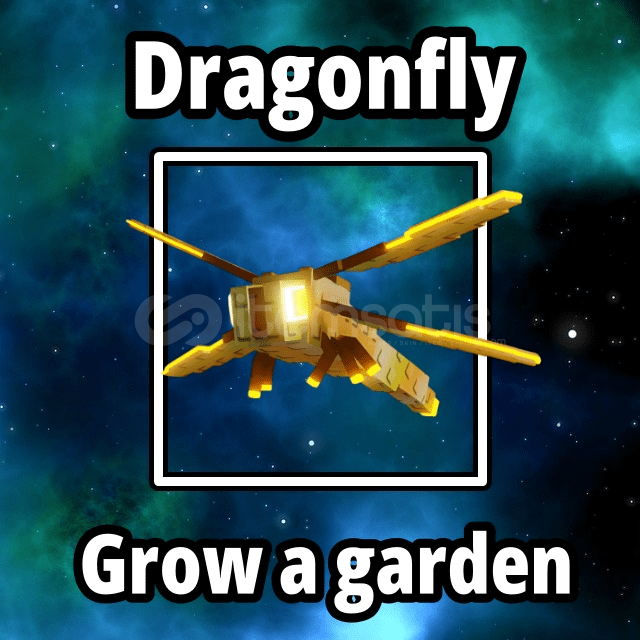 ⭐ Dragonfly ⭐ Grow a garden ⭐ Dragonfly ⭐ Grow a garden