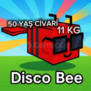 ⭐ DISCO BEE[PET]⭐ // Disco bee