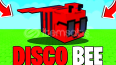 DISCO BEE - Grow a Garden