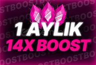 ⭐️DİSCORD 1 AYLIK 14X BOOST⭐