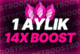 ⭐️DİSCORD 1 AYLIK 14X BOOST⭐