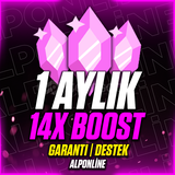 ⭐️ Discord 1 Aylık 14x Boost