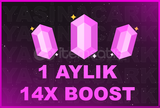 ⭐️ Discord 1 Aylık 14x Boost | ANINDA