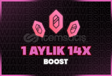 ⭐️ Discord 1 Aylık 14x Boost | ANINDA