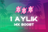 Discord 1 Aylık 14x Boost