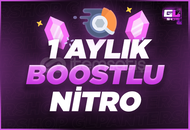 Discord 1 Aylık Nitro - 2X Boost