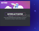 Discord 1 aylık promosyon