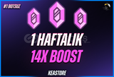 Discord 1 Haftalık 14x Boost [BOTSUZ] K&S