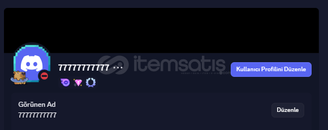 Discord 24 AY BOOST BADGE ELMAS HESAP