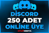 ⭐️DİSCORD 250 ONLİNE ÜYE + GARANTİ⭐️