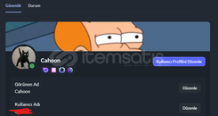 Discord 9 Ay SAFE GERİ ALINMAZ