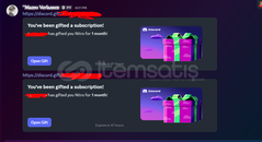 DISCORD BOOSTLU NITRO (10$ OLAN GIFT)