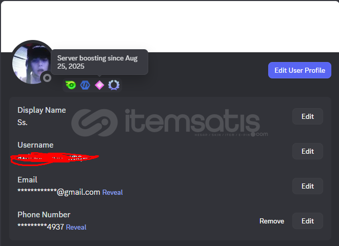 discord bot developer discord bot developer