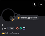 DİSCORD DEV TAG (METHOD)