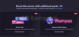 Discord Guild Sunucu