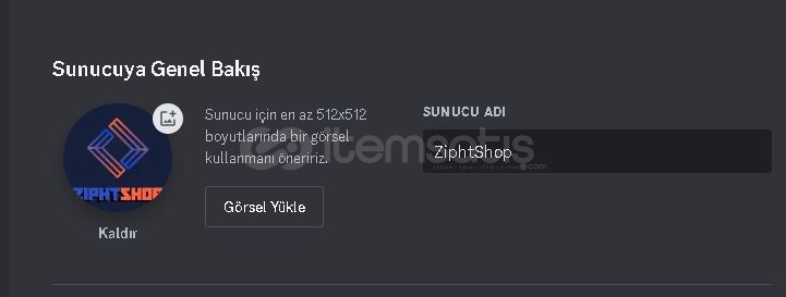 Discord Haz R Sunucu Kurulumu Ve Logo Temsat