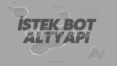 Discord İstediğiniz Botu Yapıyorum