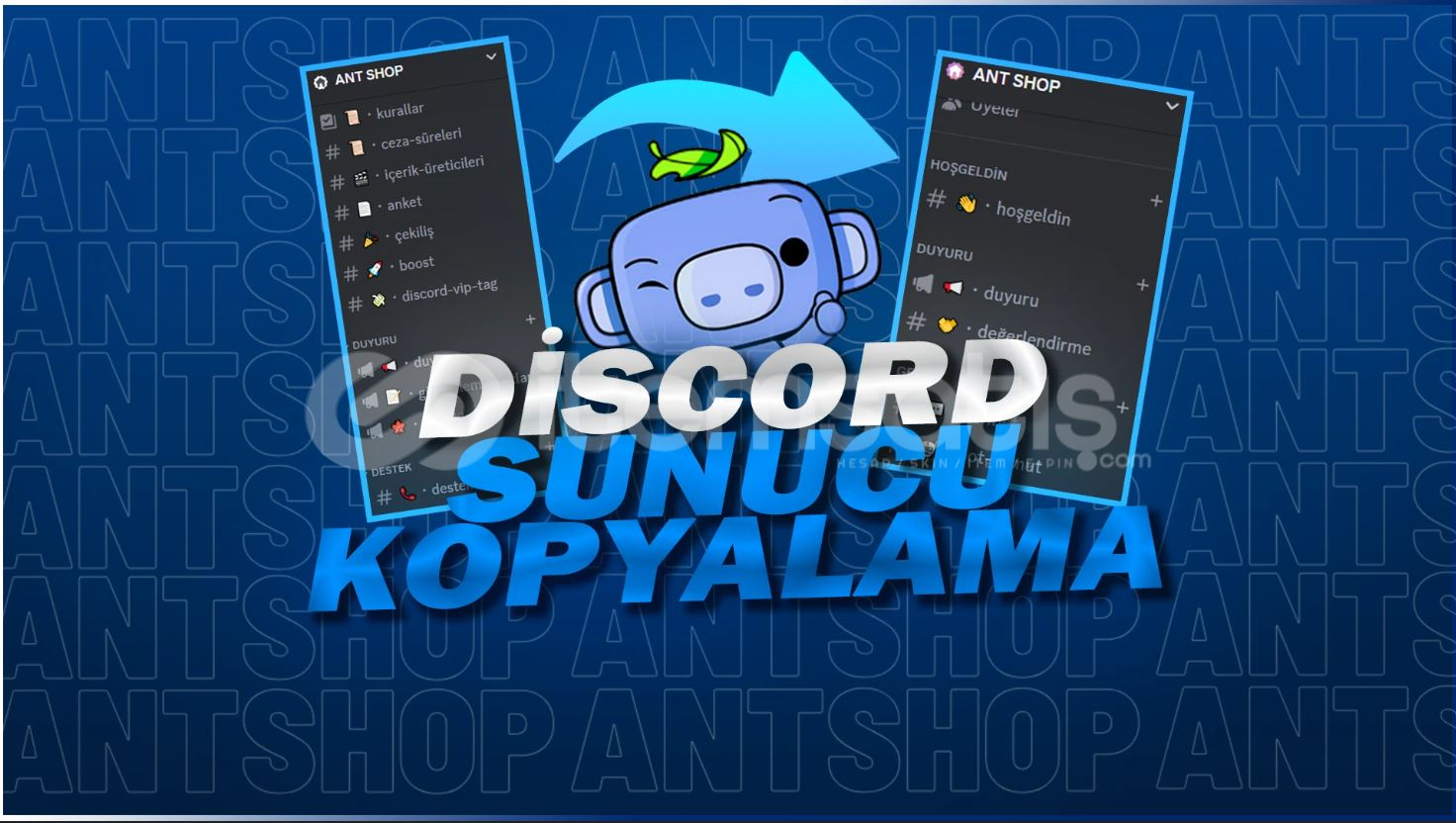 Discord istediğiniz sunucu kopyalanır Discord istediğiniz sunucu kopyalanır