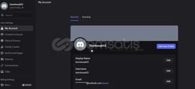 Discord Nitro 1 Ay + 2x Boost | heSab sekilinde