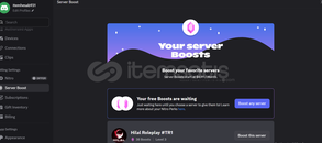 Discord Nitro 1 Ay + 2x Boost | hesap sekilinde