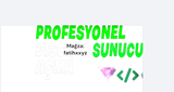 DİSCORD PROFESYONEL SUNUCU!