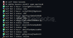 Discord Self-Mesaj Sistemi [SELF SİSTEM]