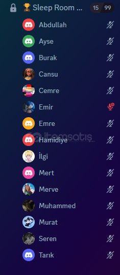 Discord Self Token Ses Altyapısı Discord Self Token Ses Altyapısı