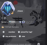 DİSCORD SOUL TAG (METHOD)