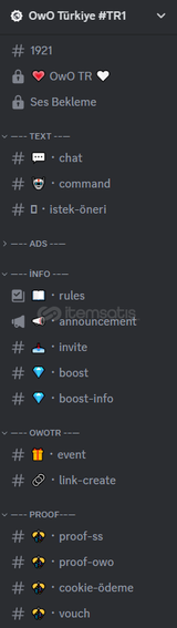 ⭐Discord Sunucu Düzenleme! + Bot Ayarlama⭐