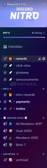 ⭐Discord Sunucu Düzenleme! + Bot Ayarlama