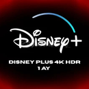 ⭐Disney+ Plus⭐️
