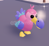 DODOO