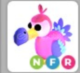 Dodo NFR