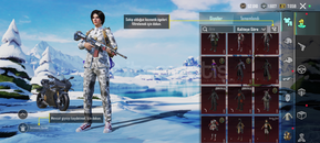 Dolar Set X Suit 49 Destansı Ducattili Hesap!