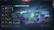 DOLMİR VANDAL + DOLMİR ODİN FİYATINA GÖRE GÜZEL