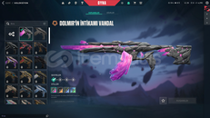 DOLMİR VANDAL TR KURULUM MAİLLİ HESAP-