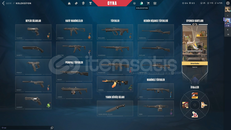 DOLMİR VANDAL TR KURULUM MAİLLİ HESAP