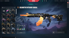 DOLMİR VANDAL TR KURULUM MAİLLİ HESAP--